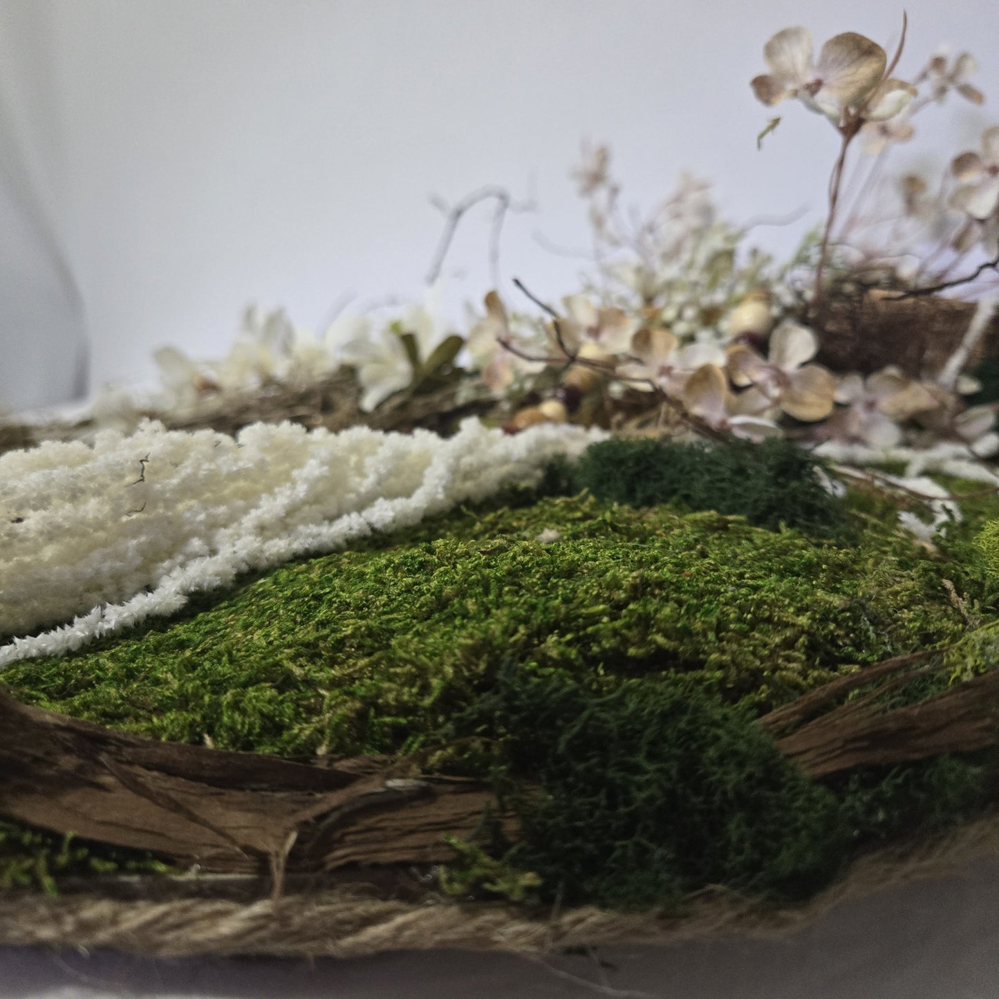Forest Awakening