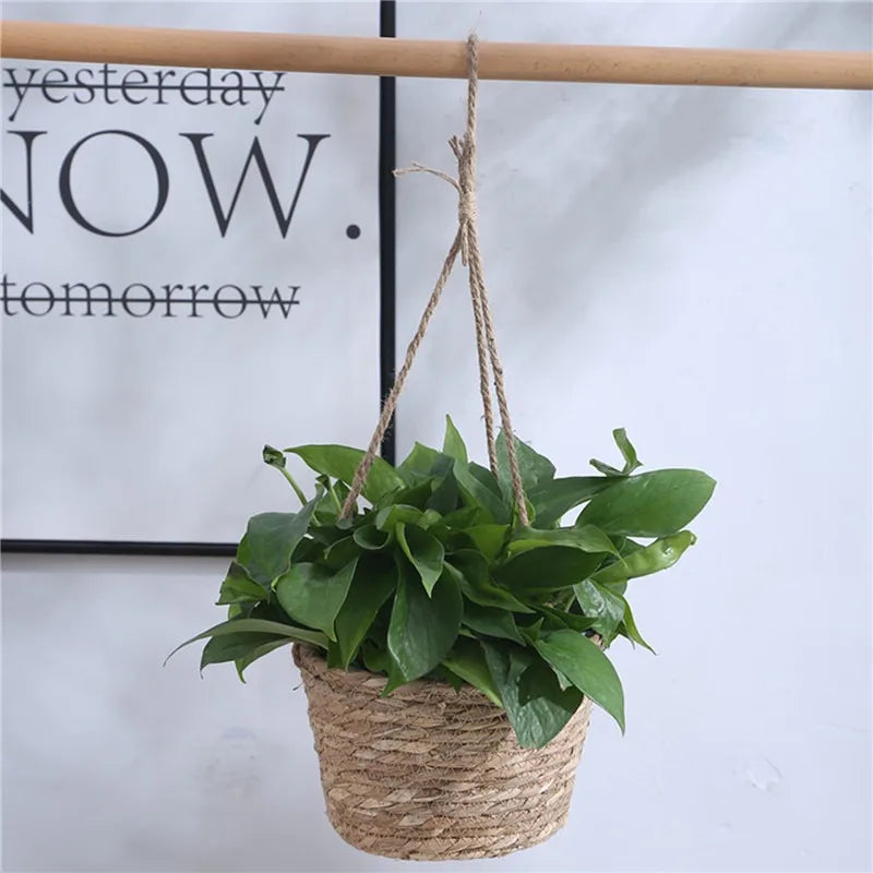 Panier suspendu en fibres végétales pour plante – 50 cm