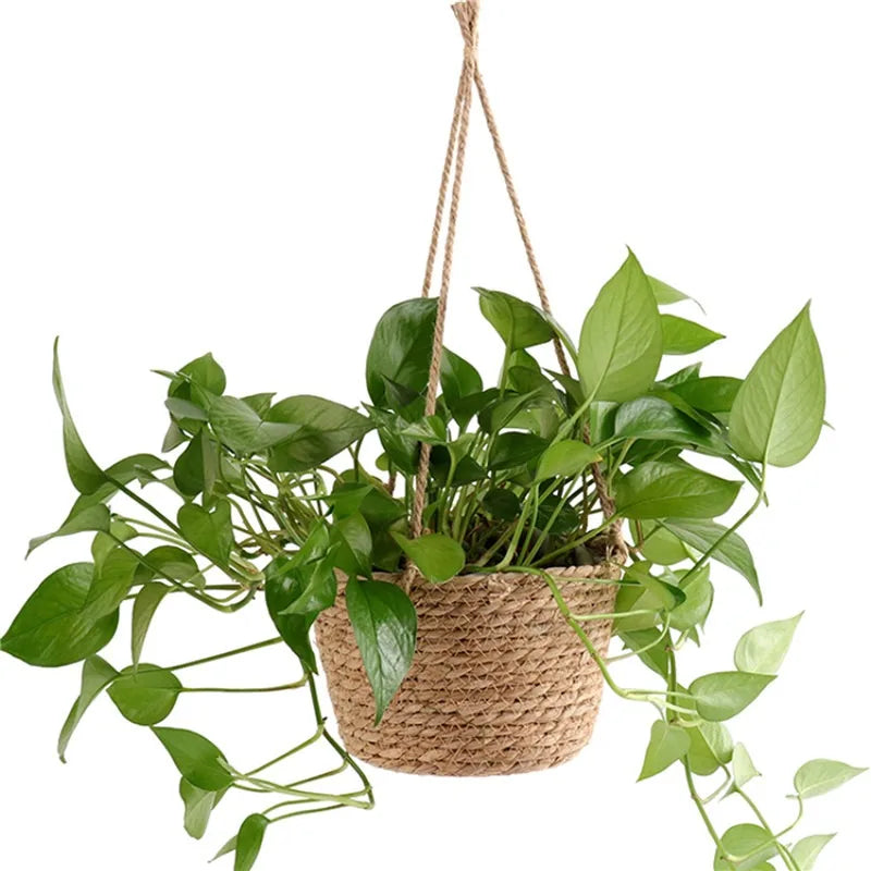 Panier suspendu en fibres végétales pour plante – 50 cm
