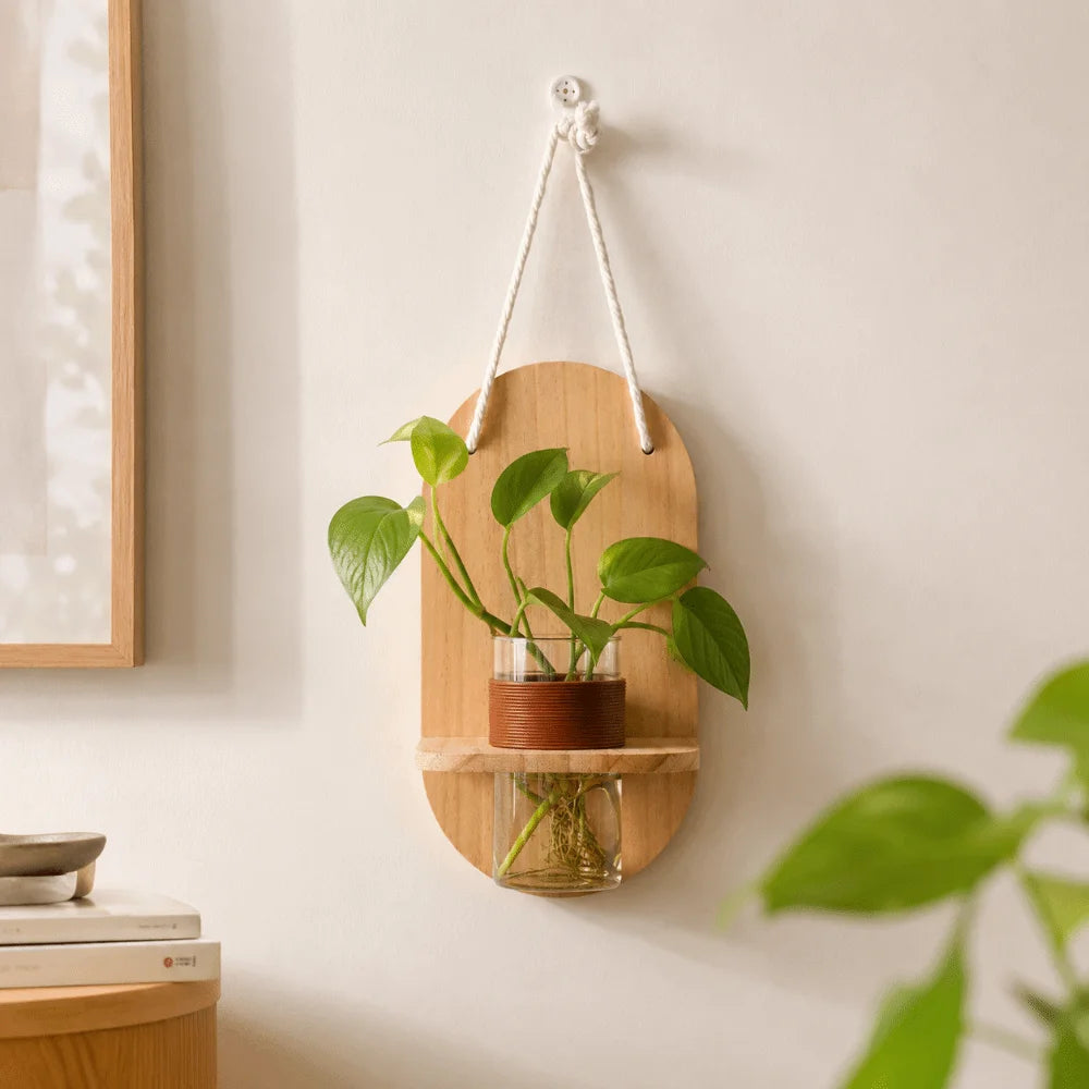Vase mural en bois pour composition végétale